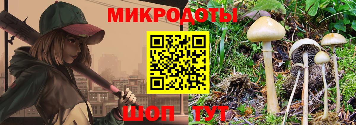 Соликамск  Псилоцибиновые грибы Magic Shrooms  Вход с VPN 